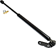 Driver and Passenger Side Liftgate Lift Support, Hatchback, For Models With Spoiler