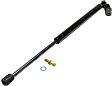 Driver and Passenger Side Liftgate Lift Support, Hatchback, For Models With Spoiler