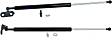 2003-2009 Toyota 4Runner - Driver and Passenger Side Liftgate, Lift Supports