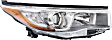 Driver and Passenger Side Headlights, with Bulbs, Halogen, with smoked chrome accent