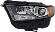 Driver and Passenger Side HID/Xenon Headlight, With bulb(s), OE Replacement