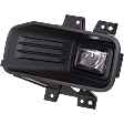 2019 Ford F-150 - Front, Driver and Passenger Side LED Fog Light, With bulb(s)