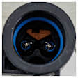 Rear, Driver and Passenger Side Power Window Regulators, with Motor