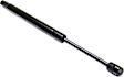 Driver and Passenger Side Trunk Lid Lift Support, Convertible