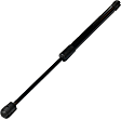 Driver and Passenger Side Liftgate Glass Lift Support, Sport Utility, RWD