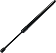 Driver and Passenger Side Liftgate Lift Support