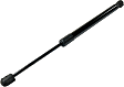 Driver and Passenger Side Hood Lift Support