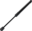 Driver and Passenger Side Hood Lift Support