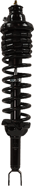 Rear, Driver and Passenger Side Fully Loaded Strut