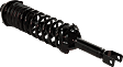 Rear, Driver and Passenger Side Fully Loaded Strut