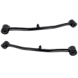 Rear, Driver and Passenger Side Trailing Arms, Bushing