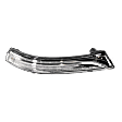 Driver and Passenger Side Mirror Turn Signal Light