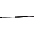 Driver and Passenger Side Hood Lift Support, Sedan