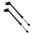Driver and Passenger Side Liftgate Lift Supports, Sport Utility, Manual Liftgate