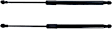 Driver and Passenger Side Liftgate Lift Supports, Mexico Built Vehicle, Set of 2