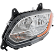 Driver and Passenger Side Halogen Headlight, With bulb(s)