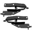 Driver and Passenger Side Hood Hinges