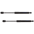 Driver and Passenger Side Hood Lift Support, Set of 2
