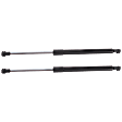 Driver and Passenger Side Liftgate, Lift Supports