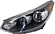 Driver and Passenger Side Headlights, with Bulbs, Halogen, AWD