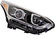 Driver and Passenger Side Halogen Headlights, with Bulbs, CAPA CERTIFIED