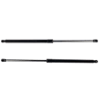 Driver and Passenger Side Liftgate Lift Supports, Set of 2