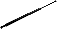 Driver and Passenger Side Hood Lift Support, 4-Door, Sedan