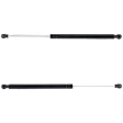 2011 Lexus CT200h - Driver and Passenger Side Lift Support Liftgate, Hatchback
