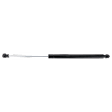 2011 Lexus CT200h - Driver and Passenger Side Lift Support Liftgate, Hatchback