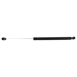 2011 Lexus CT200h - Driver and Passenger Side Lift Support Liftgate, Hatchback
