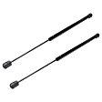 Driver and Passenger Side Liftgate Glass Lift Support, Sport Utility
