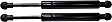Driver and Passenger Side Trunk Lid Lift Supports, Sedan
