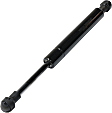 Driver and Passenger Side Trunk Lid Lift Supports, Sedan