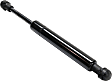 Driver and Passenger Side Trunk Lid Lift Supports, Sedan