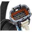 2017-2023 Nissan Titan - Driver and Passenger Side Halogen Tail Light, With bulb(s), OE Replacement