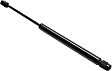 Hood Lift Supports - Driver and Passenger Side