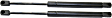 Driver and Passenger Side Trunk Lid Lift Support, Sedan