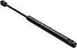 Driver and Passenger Side Trunk Lid Lift Support, Sedan