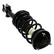 Rear, Driver and Passenger Side Fully Loaded Strut