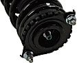 Rear, Driver and Passenger Side Fully Loaded Strut, Sedan