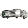 Driver and Passenger Side Mirror Turn Signal Light