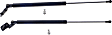 Driver and Passenger Side Liftgate Lift Support