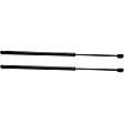 Driver and Passenger Side Liftgate Lift Support