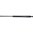 Driver and Passenger Side Liftgate Lift Support