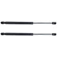 Driver and Passenger Side Hood Lift Support, Sedan, Set of 2