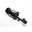 Fully Loaded Strut