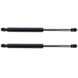 Driver and Passenger Side Trunk Lid Lift Support, Sedan, Set of 2