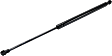 2008 Toyota Yaris - Driver and Passenger Side Liftgate Lift Supports, For Models Without Rear Window Wiper