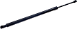 Driver and Passenger Side Liftgate Lift Support, Sport Utility