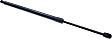 Driver and Passenger Side Liftgate Lift Support, Sport Utility